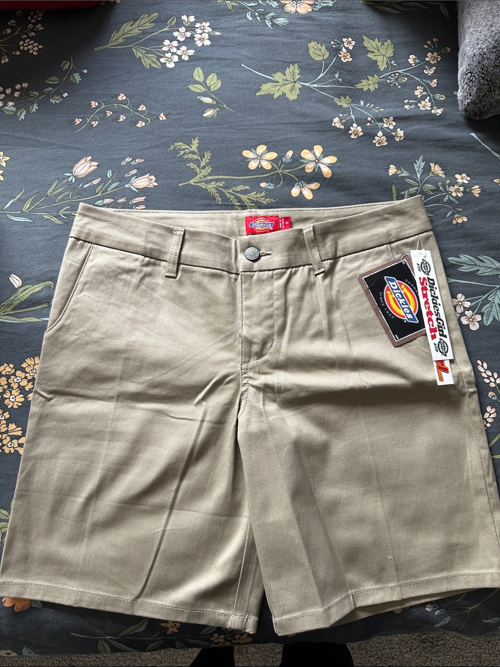 Dickies Shorts